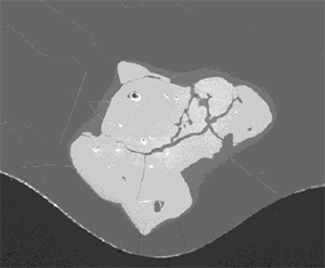 Defects analysis（blisters, stones） image