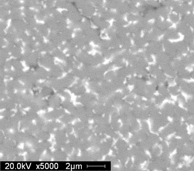 Cross section SEM